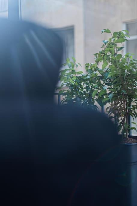 Athens Syntagma Studio エクステリア 写真